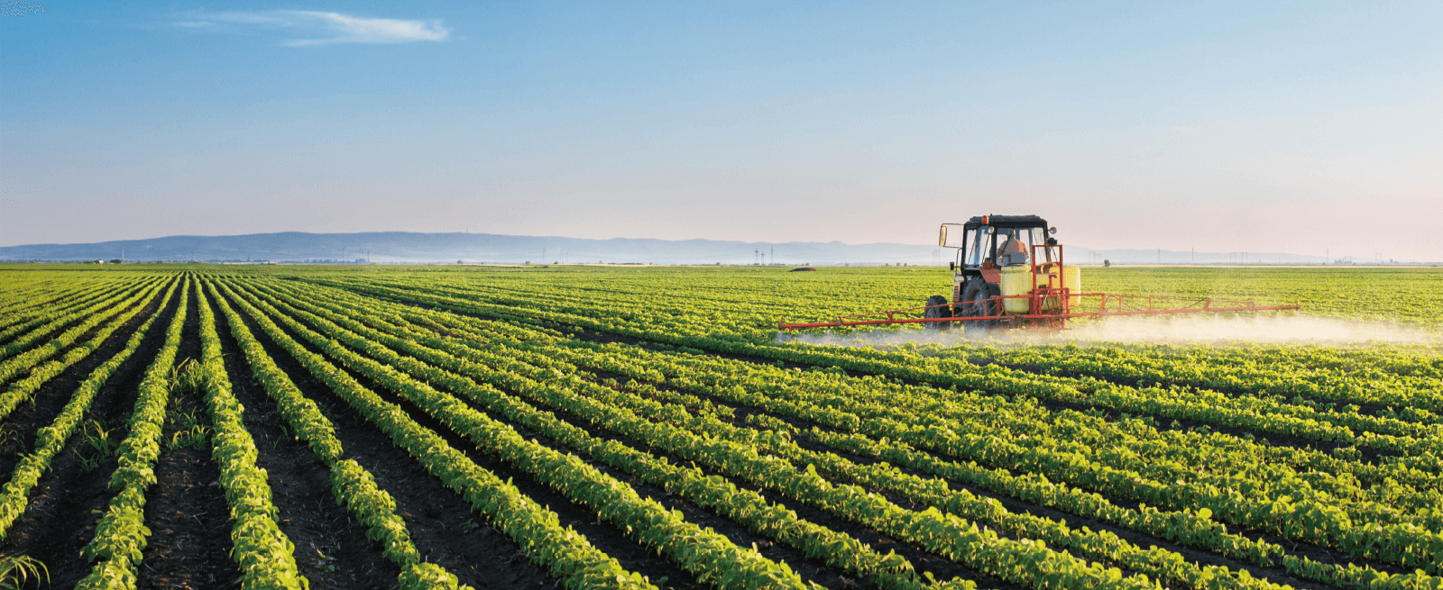 28圈(中国游)官方网站