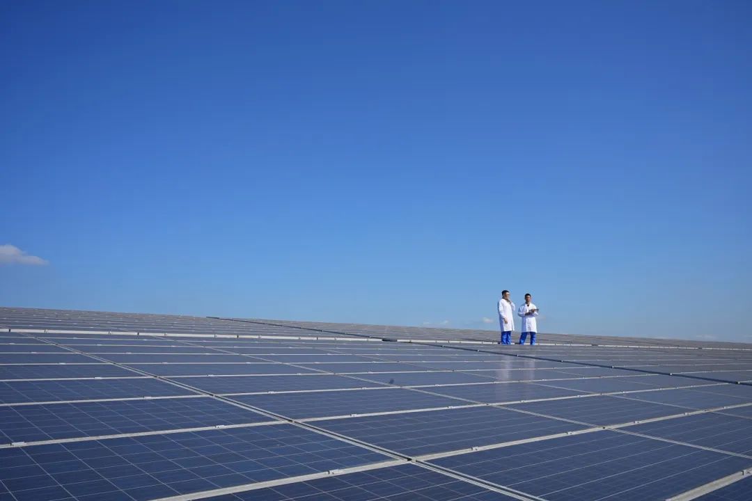 28圈(中国游)官方网站